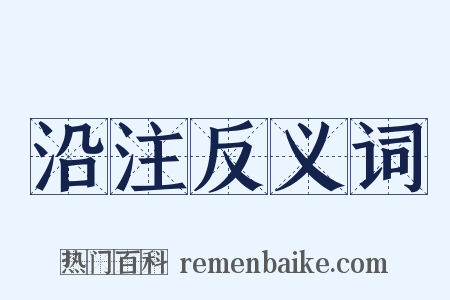 沿注反义词是什么意思的图片